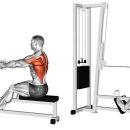 이너멜 피트니스 이미지