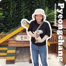 서부사슴농장 | 평창 크리에이투어 농촌체험여행 강원도 아이와 가볼만한곳 평창 우루루 동물농장