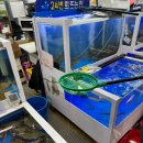 수산물종합센터 | 군산 회센터 :: 군산수산물 종합센터 새우 광어 전어 회 포장 후기