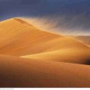 모터트렌드 이미지