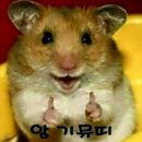 영구제 이미지