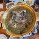 불미골오리 - 북구 용당로20번길 9 | 포항 양덕 맛집 ‘불미골오리’ 친정식구들과 몸보신하고 온 내돈내산 찐후기 (오리백숙, 참숯구이 예약...