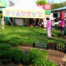 상일초교버스 정류장 이미지