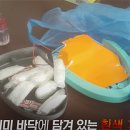 사라유통