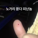 동그랗개 이미지