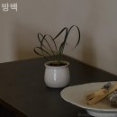 경기도 수원시 팔달구 세지로306번길 | 방백 안심하고맡길수있는애견카페