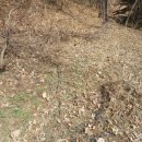 중광농장 이미지