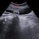 데일리연합의원 이미지