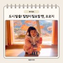 오로지 | 경상북도 가볼만한 곳, 혼자 국내여행 오로지 한옥펜션 후기