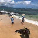 비치라 민박 이미지