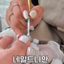 네일드니안