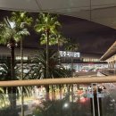 방배중앙로13길 26 (4) | 첼첼의 제주로그 서쪽 여행 (9/24-9/26)