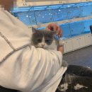 제이제이캣 이미지