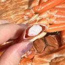 사묵 | 감탄수산에서 홍게 사묵은 내돈내산 후기🦀