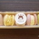 오일오공