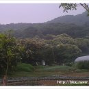 손골공원 이미지