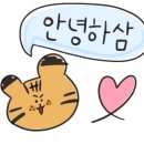천선곰탕마라탕 이미지