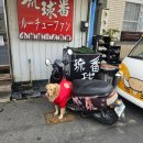 자전거길 민박 | 대만 소류구 숙소 구평민박 九坪民宿 mini bnb 더블룸 솔직 후기