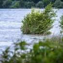 선민농장 이미지