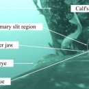 고래세상 이미지