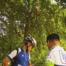 백양산임도(2) 이미지