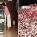 야곱한우농장 이미지
