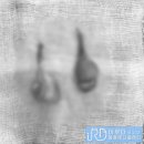 이루다 동물메디컬센터 이미지