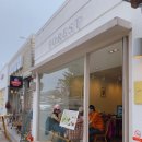 포레스트 경주(Forest 경주) 이미지