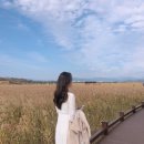 함평 이건풍가옥 | [전남여행지추천]순천-여수-보성-광양 여행코스 남도바닷길 총정리!!