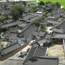 플로라 거창 이미지