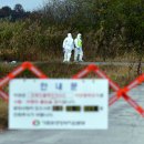 박상수농장 이미지