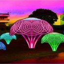 산호호텔 이미지