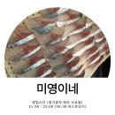 모 마실까? 모 먹을까? | 제주 서귀포 유명한 고등어회 맛집_미영이네, 웨이팅 내돈내산 솔직후기