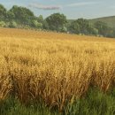 우승오피스마트 이미지