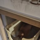 다나동물의료센터 이미지