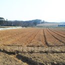 해미공인중개사사무소 이미지