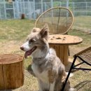 환영목장 이미지