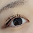 사랑모아 의료기 | 대구 서구 두류역 에스엔뷰티 노글루 속눈썹 펌 만족 방문 후기