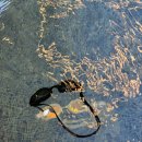 하늘오름마실 | [25.11.29~12.01] 4주년 결기 제주도 여행 2일차