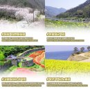 무주읍144 이미지