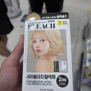 다이소 탈색약 솔직후기｜눈썹 탈색 직접 해봄
