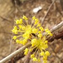 뿌리 철학B 이미지