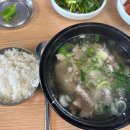 서가 돼지국밥 | 윤남노 유튜브 추천 부산 돼지국밥 맛집 서가돼지국밥/부산토박이 찐 후기, 웨이팅 방법