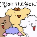 강남한식뷔페