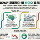 하이메딕스 이미지