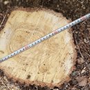 은평-008 이미지