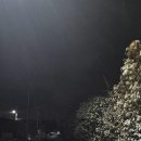 제주 하연 이미지