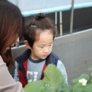 한사랑농장 이미지