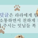 삼평동659-1 이미지