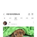 낑깡이네 | 차를 타면 너무 흥분하는 🥵 낑깡이 교육 후기